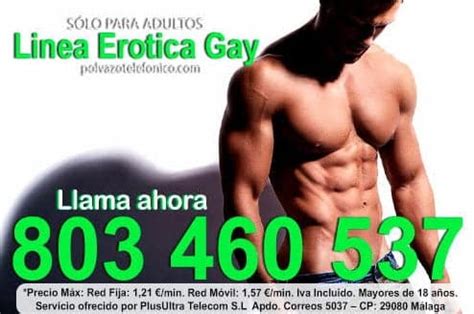 paja gay telefono|Paja por Teléfono ¡Placer Total!